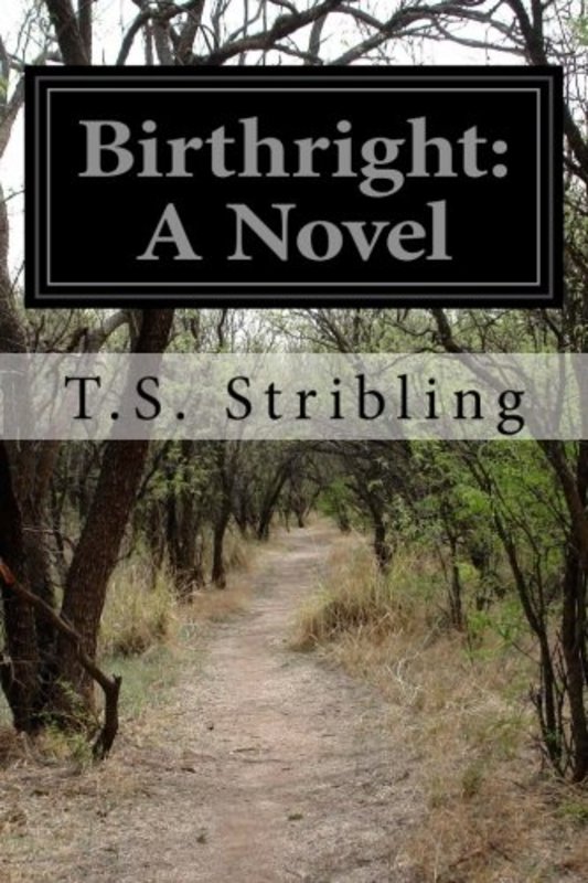 Book cover for "Birthright" by TS Stribling
