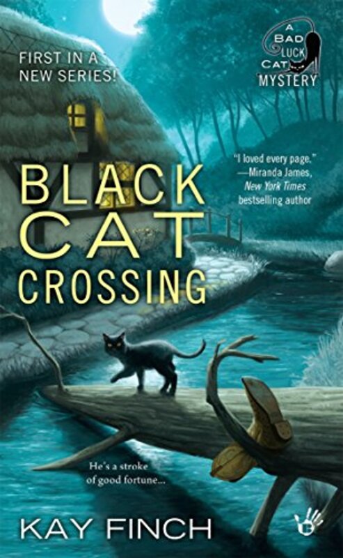 Book cover for "Black Cat Crossing" by Kay Finch