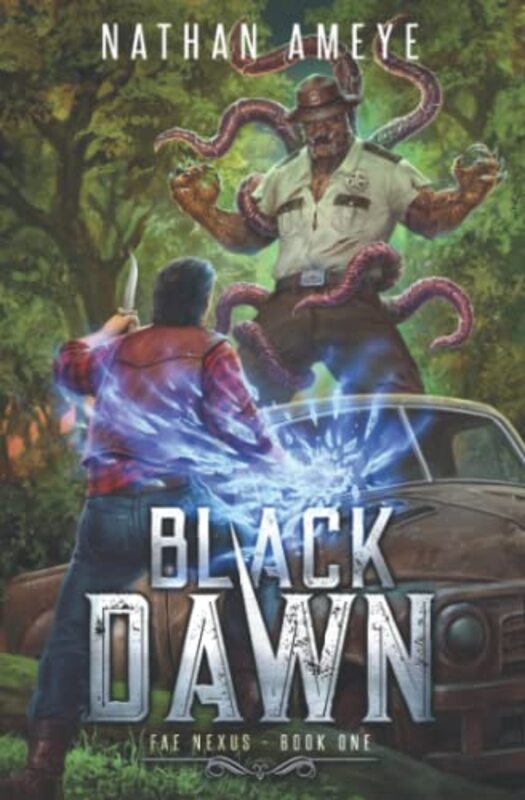 Nathan Ameye book cover