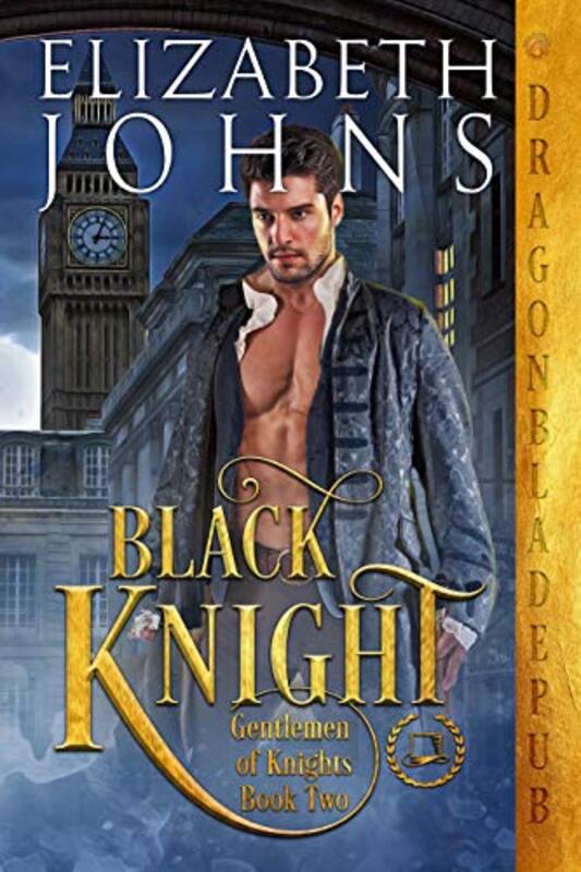 Book cover for "Black Knight" by Elizabeth Johns