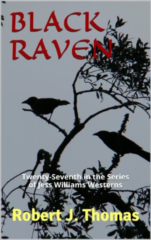 Book cover for "Black Raven" by Robert J Thomas