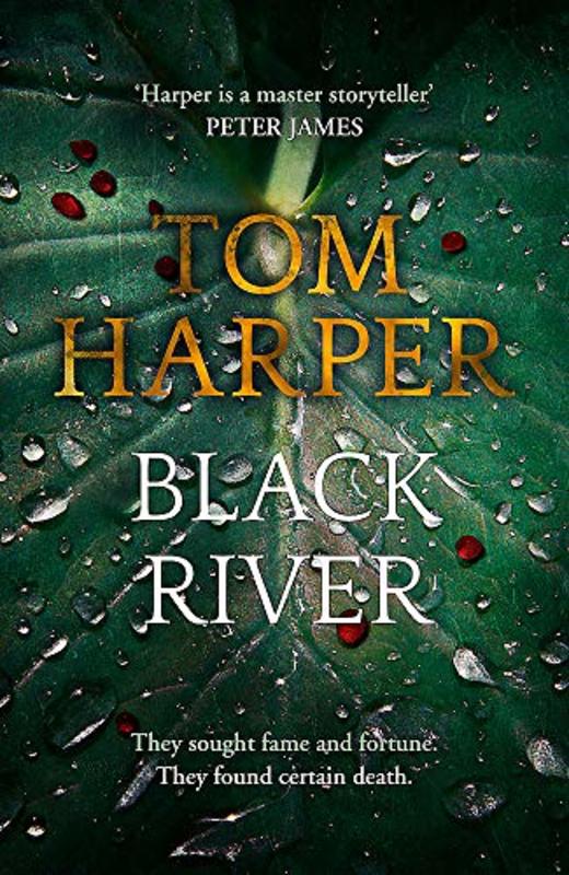 Book cover for "Black River" by Tom Harper