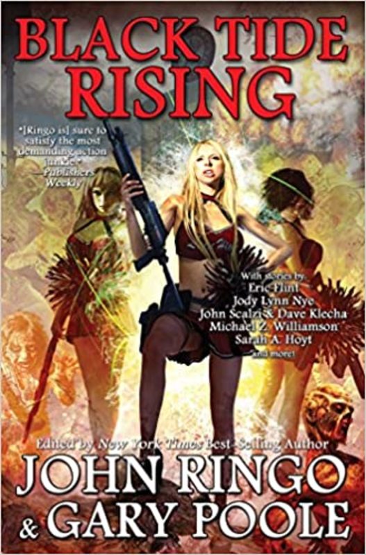 Book cover for "Black Tide Rising" by Eric Flint
