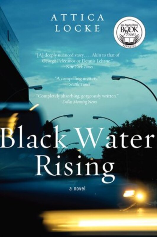 Book cover for "Black Water Rising" by Attica Locke