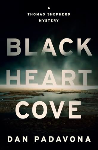 Dan Padavona book cover