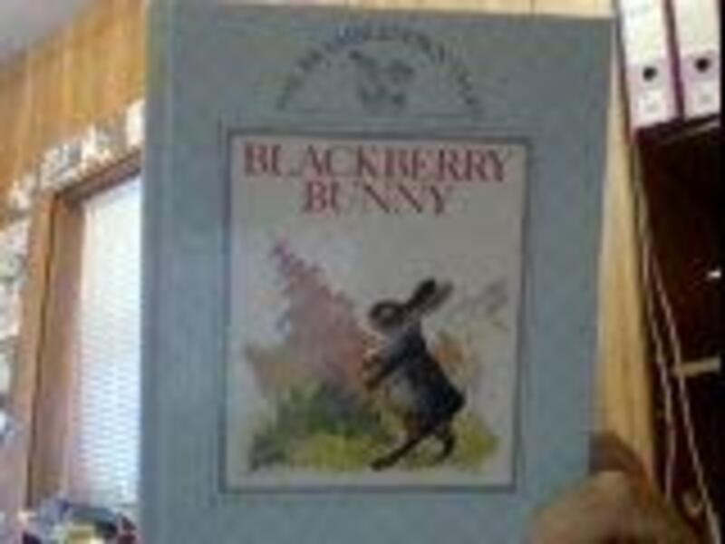Book cover for "Blackberry Bunny" by Geraldine McCaughrean