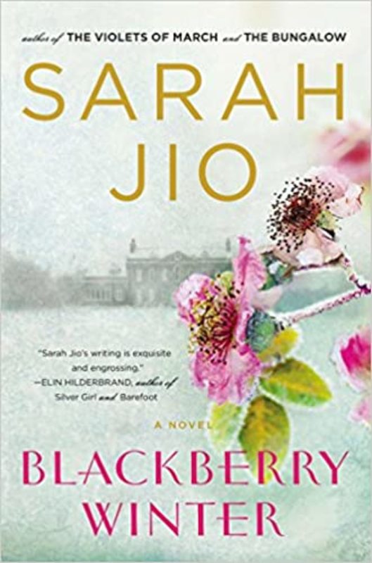 Book cover for "Blackberry Winter" by Sarah Jio
