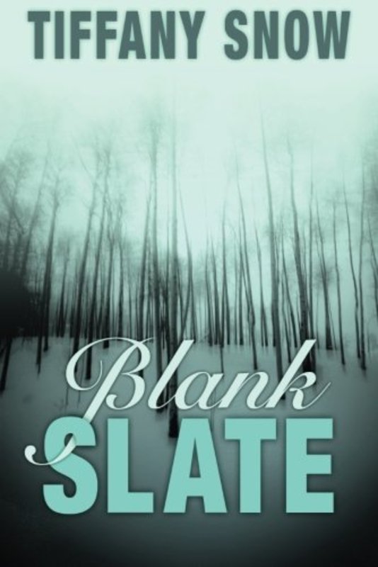 Book cover for "Blank Slate" by Tiffany Snow