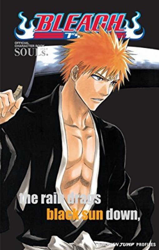 Book cover for "Bleach SOULs. Official Character Book" by Tite Kubo