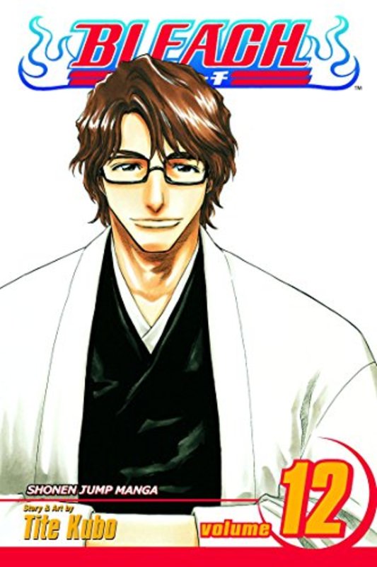 Book cover for "Bleach, Volume 12" by Tite Kubo