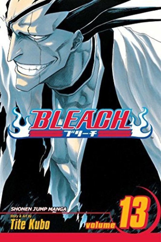 Book cover for "Bleach, Volume 13" by Tite Kubo