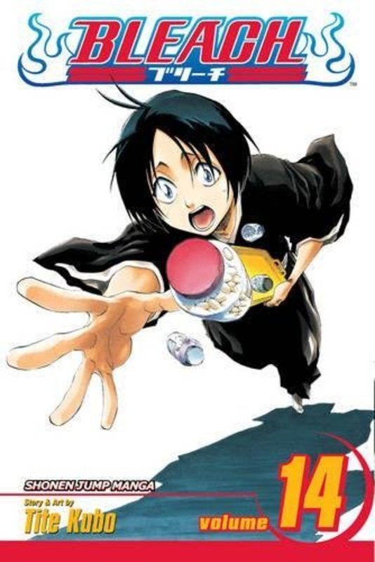Book cover for "Bleach, Volume 14" by Tite Kubo