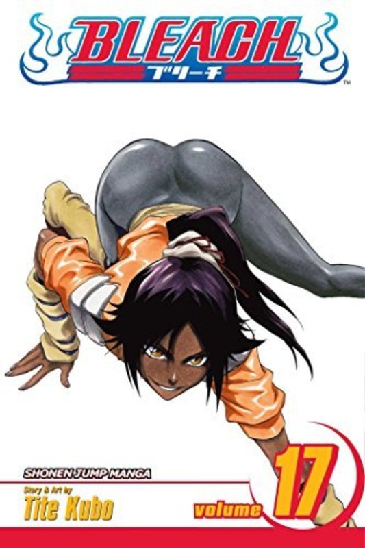 Book cover for "Bleach, Volume 17" by Tite Kubo