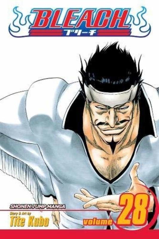 Book cover for "Bleach, Volume 28" by Tite Kubo