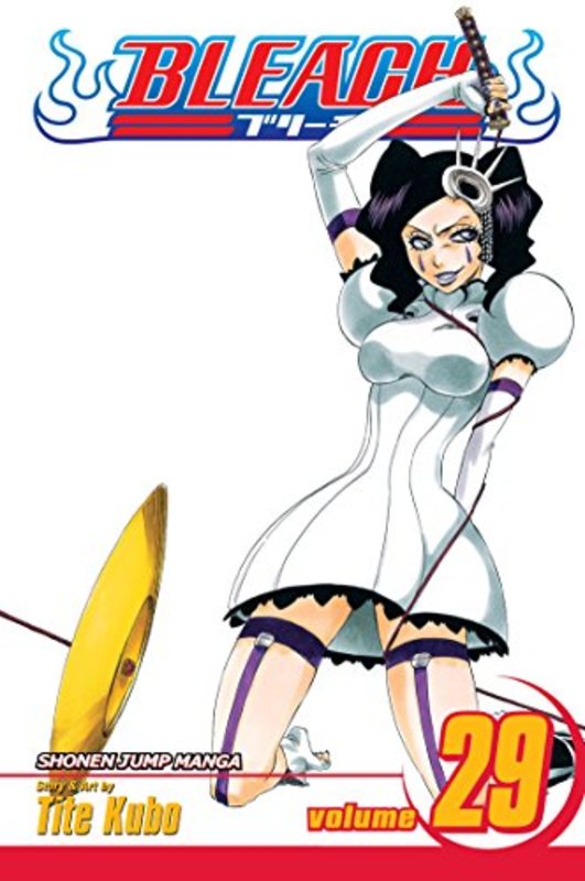 Book cover for "Bleach, Volume 29" by Tite Kubo