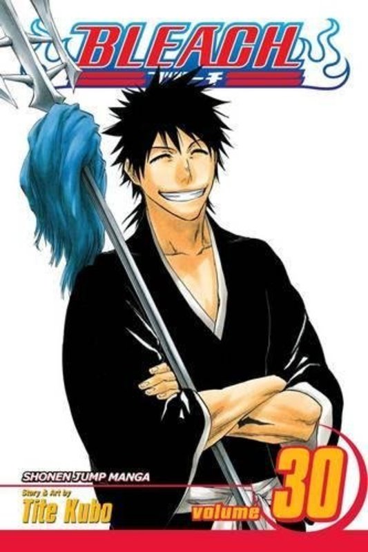 Book cover for "Bleach, Volume 30" by Tite Kubo