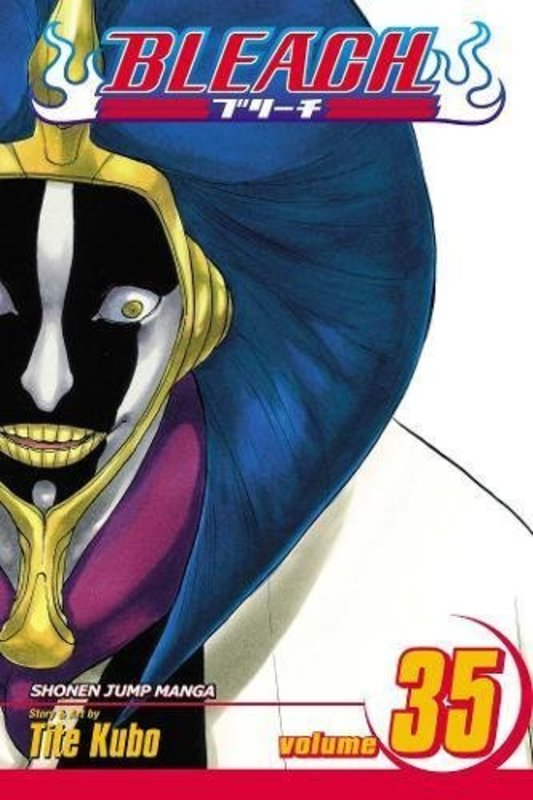 Book cover for "Bleach, Volume 35" by Tite Kubo