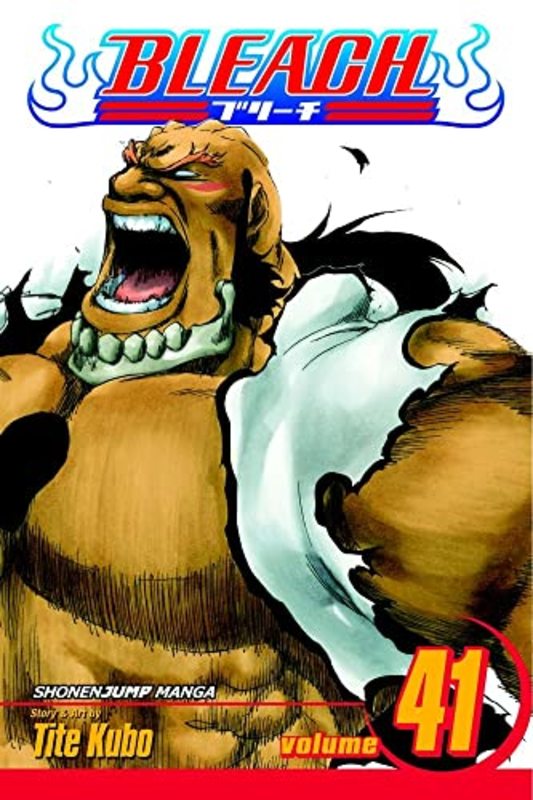 Book cover for "Bleach, Volume 41" by Tite Kubo