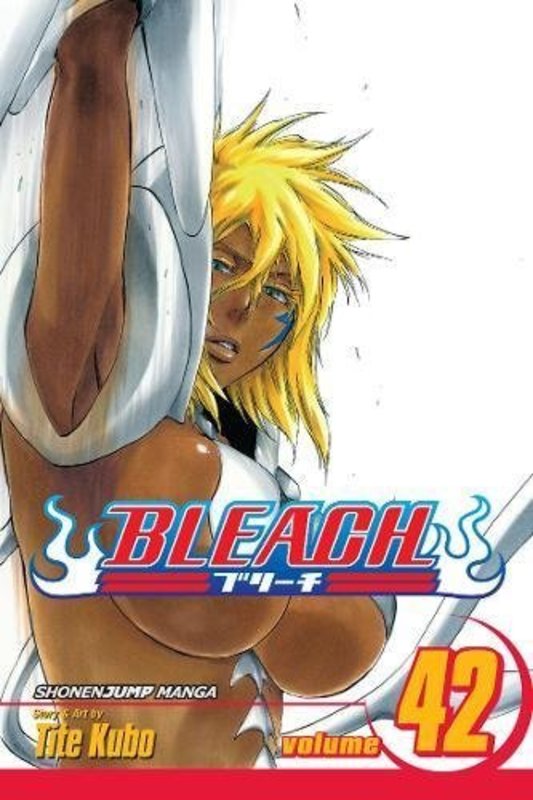Book cover for "Bleach, Volume 42" by Tite Kubo