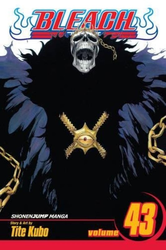 Book cover for "Bleach, Volume 43" by Tite Kubo