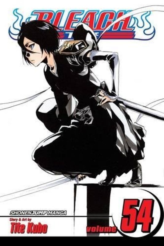 Book cover for "Bleach, Volume 54" by Tite Kubo