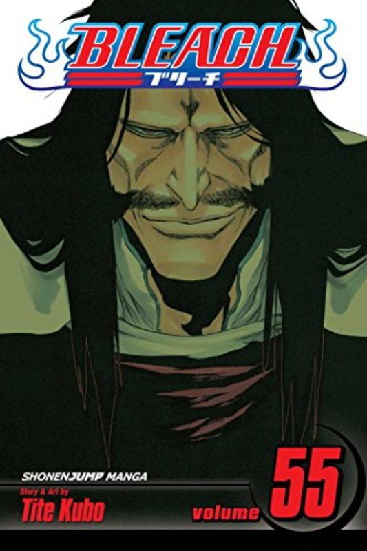 Book cover for "Bleach, Volume 55" by Tite Kubo