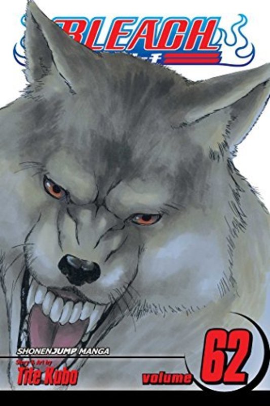Book cover for "Bleach, Volume 62" by Tite Kubo