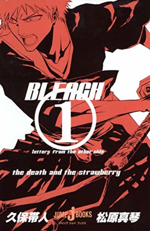 Book cover for "Bleach: Letters From The Other Side" by Tite Kubo