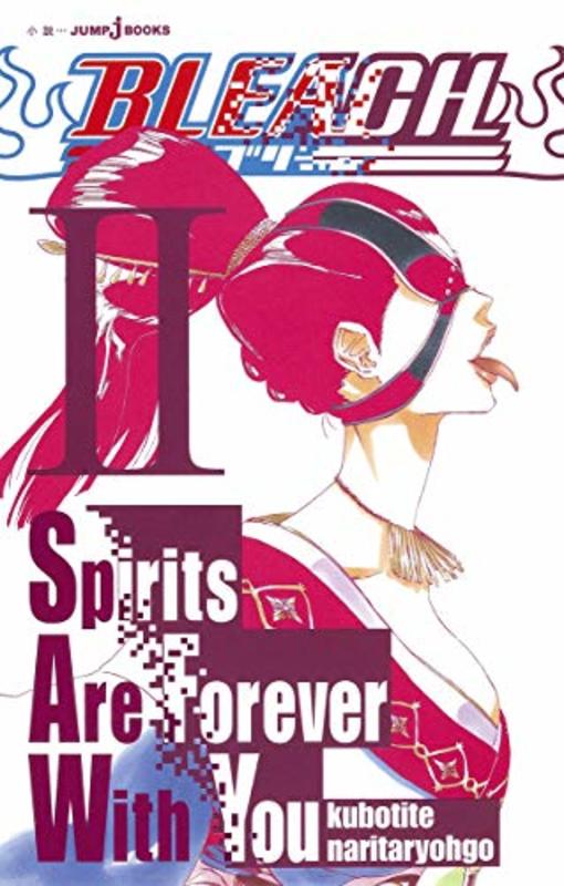 Book cover for "Bleach: Spirits Are Forever With You 2" by Tite Kubo