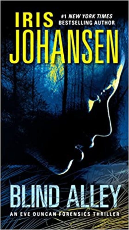 Book cover for "Blind Alley" by Iris Johansen
