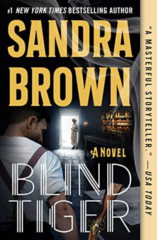 Book cover for "Blind Tiger" by Sandra Brown