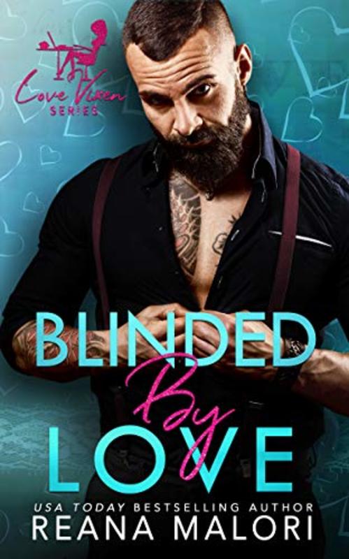 The Love Vixen book cover