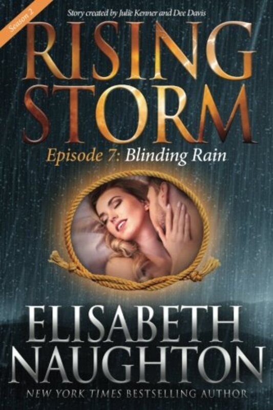 Rising Storm book cover