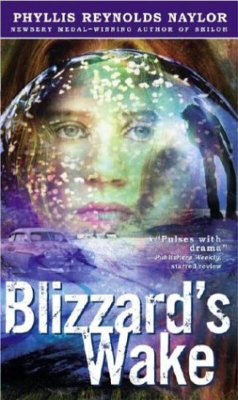 Book cover for "Blizzard's Wake" by Phyllis Reynolds Naylor
