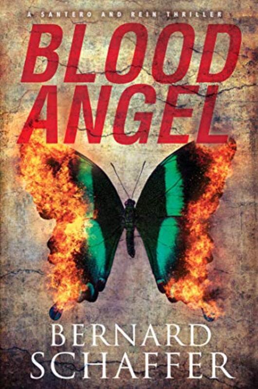 Bernard Schaffer book cover