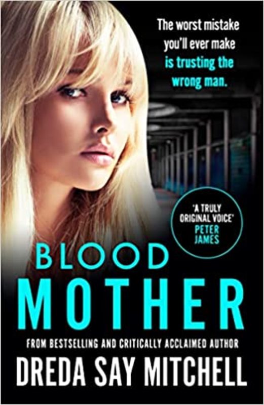 Book cover for "Blood Mother" by Dreda Say Mitchell