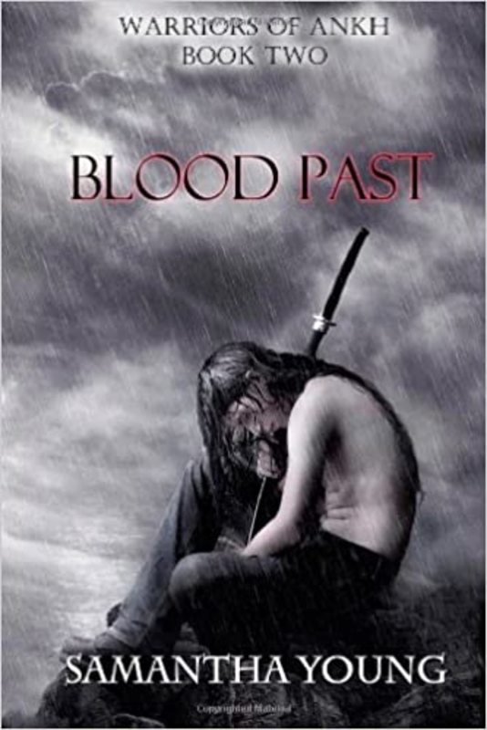 Book cover for "Blood Past" by Samantha Young