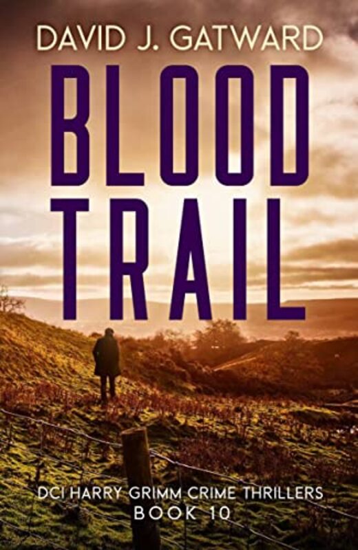DCI Harry Grimm book cover
