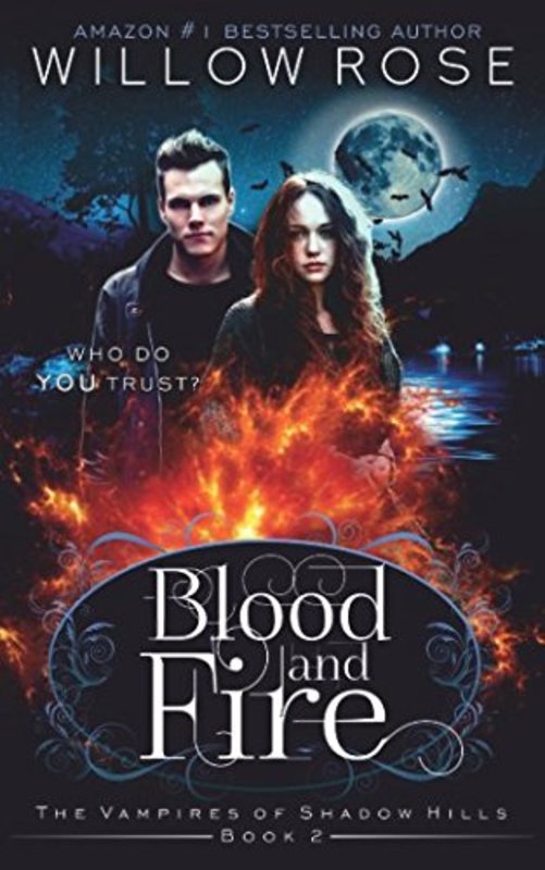 Book cover for "Blood and Fire" by Willow Rose