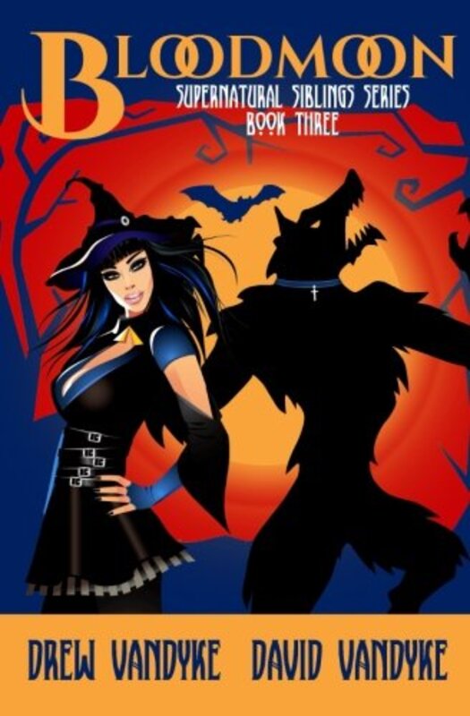 David VanDyke book cover