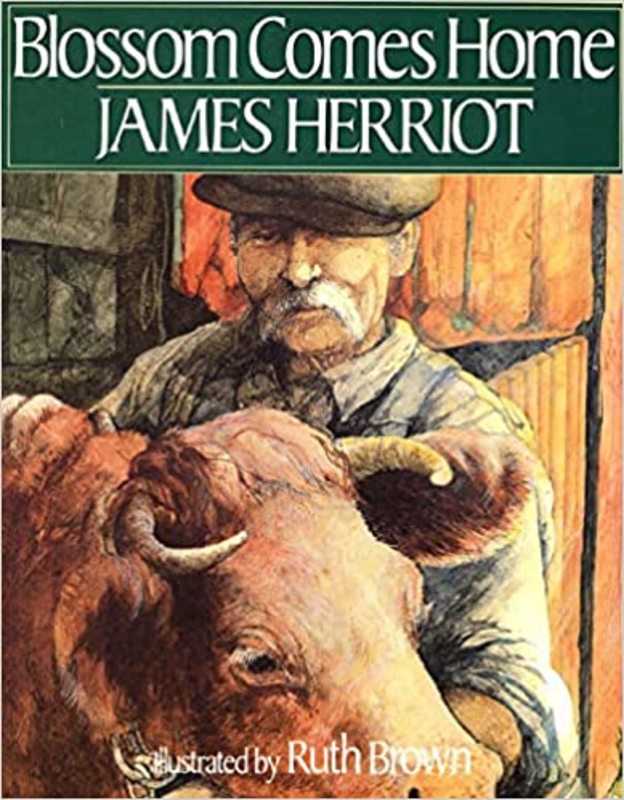Book cover for "Blossom Comes Home" by James Herriot