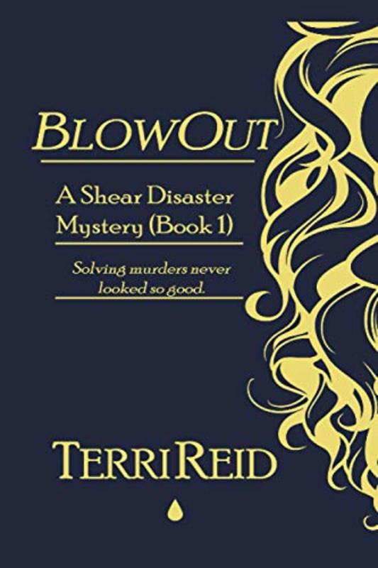Book cover for "BlowOut" by Terri Reid