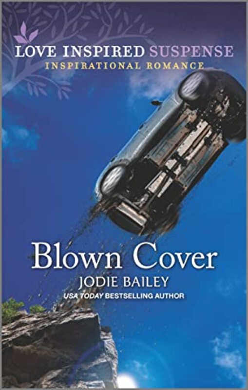 Jodie Bailey book cover