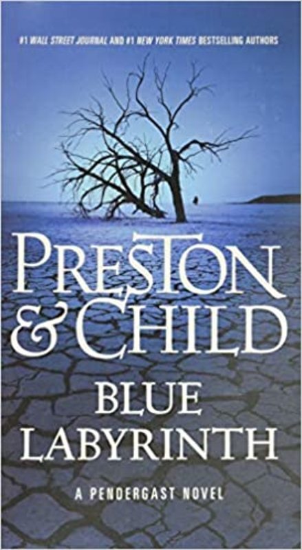 Book cover for "Blue Labyrinth" by Douglas Preston