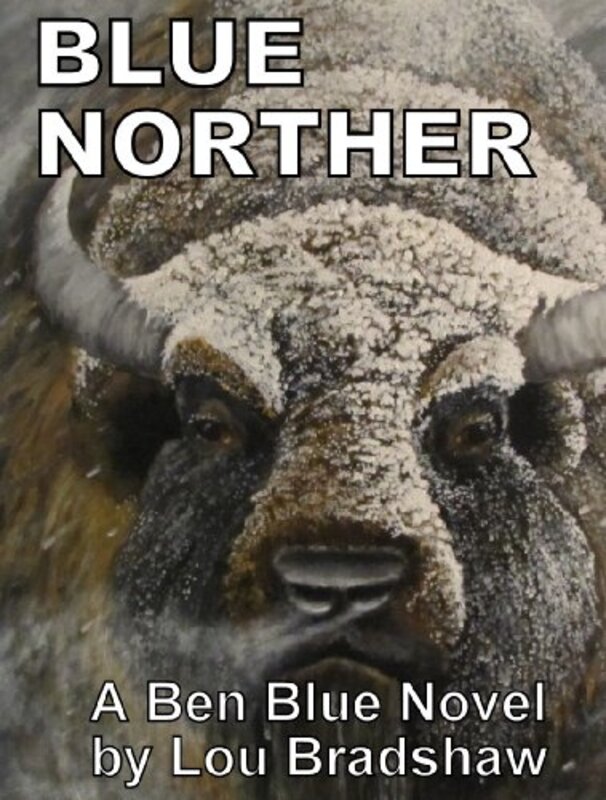 Book cover for "Blue Norther" by Lou Bradshaw