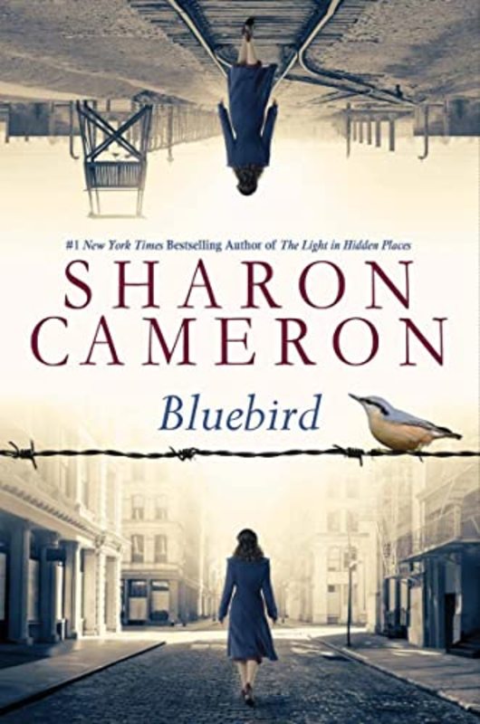 Sharon Cameron book cover