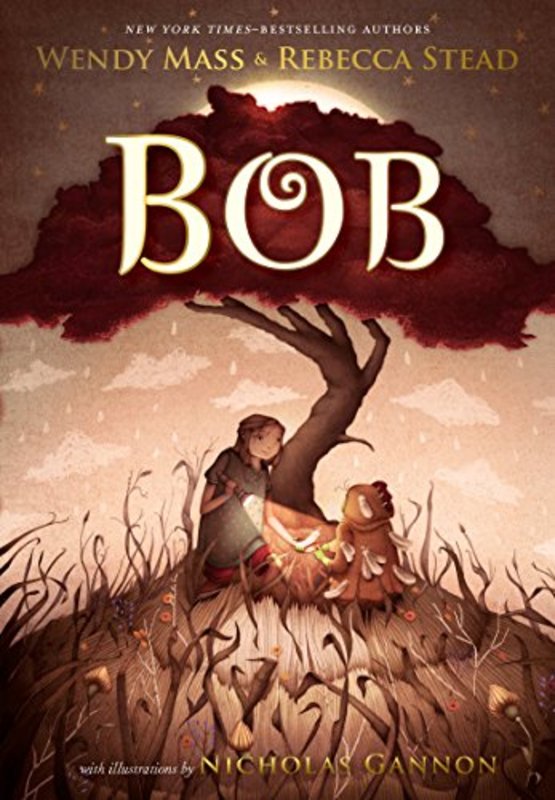 Wendy Mass book cover