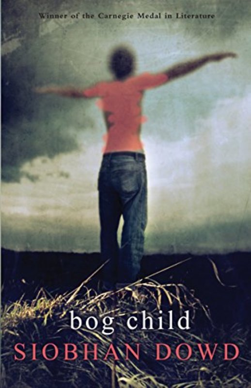 Siobhan Dowd book cover