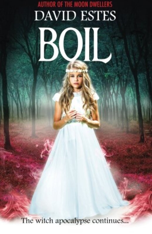 Book cover for "Boil" by David Estes