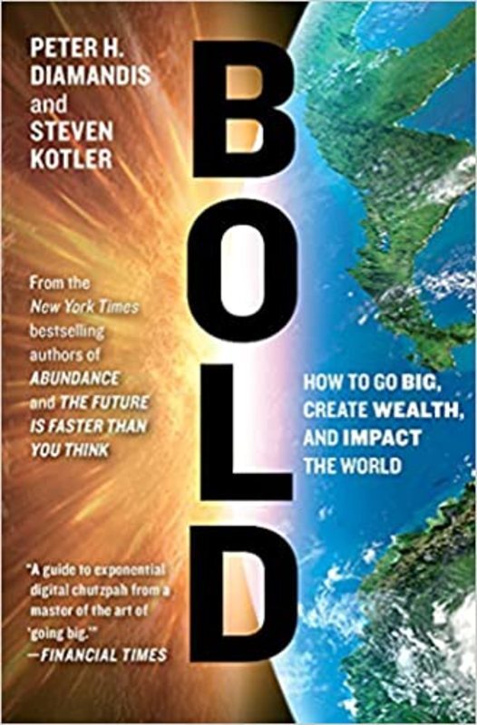 Book cover for "Bold"